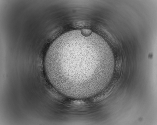 X0000103410749200810031245