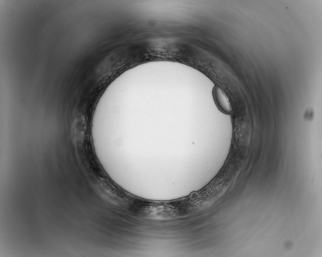 X0000103410752200810031245