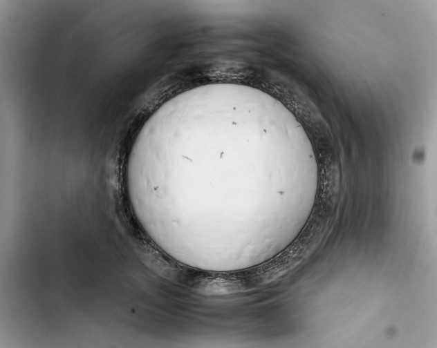 X0000103410755200810031246