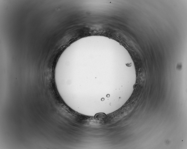 X0000103410756200810031246