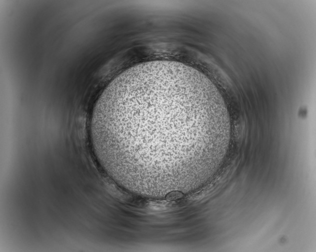 X0000103410757200810031246