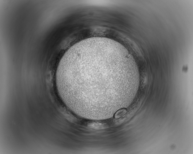 X0000103410759200810031246