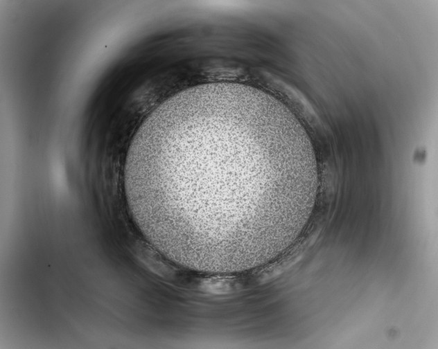 X0000103410761200810031246