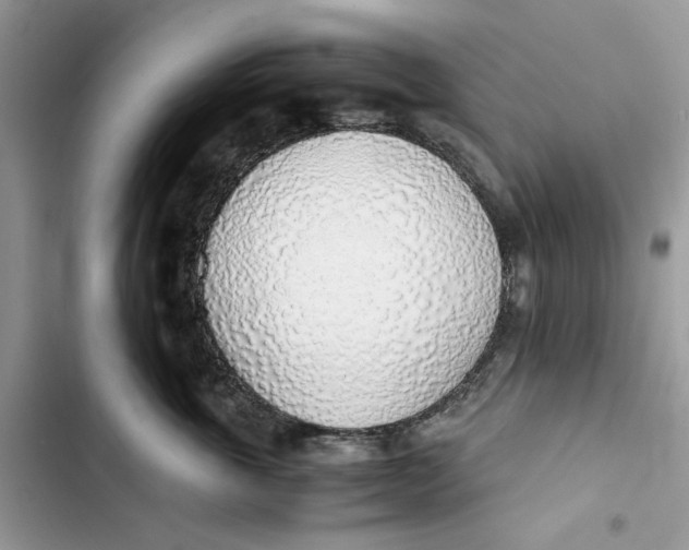 X0000103410763200810031246