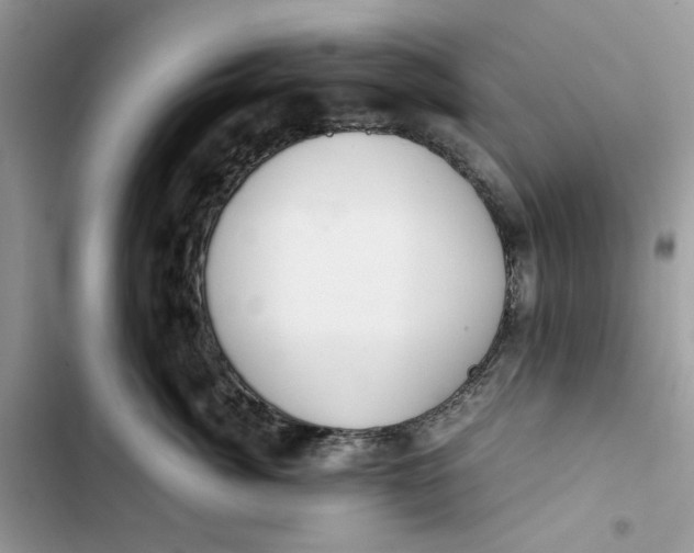 X0000103410764200810031246