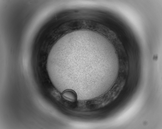 X0000103410766200810031246