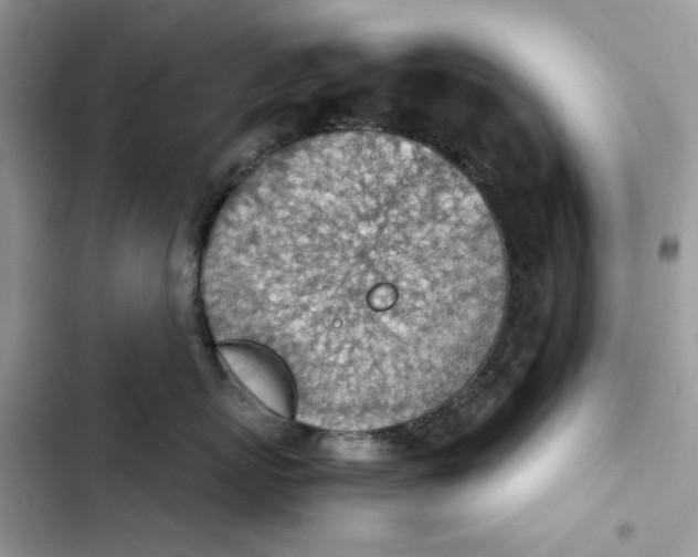 X0000103410767200810031246