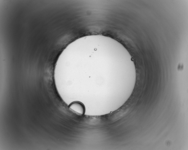 X0000103410768200810031246