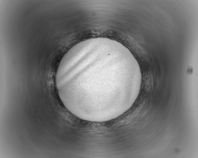 X0000103410770200810031245