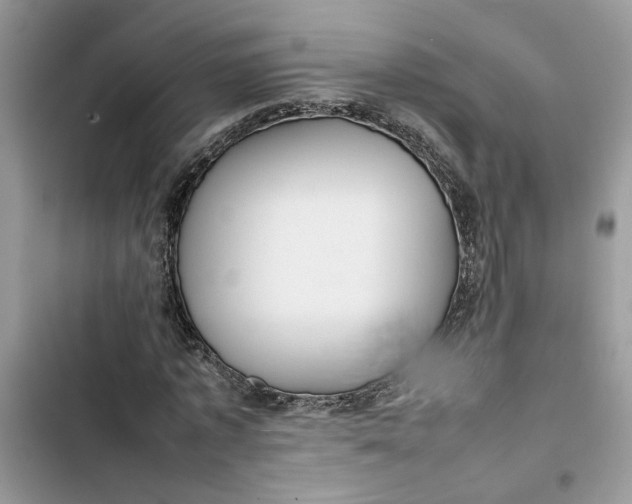 X0000103410773200810031245