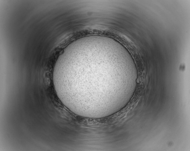 X0000103410774200810031245