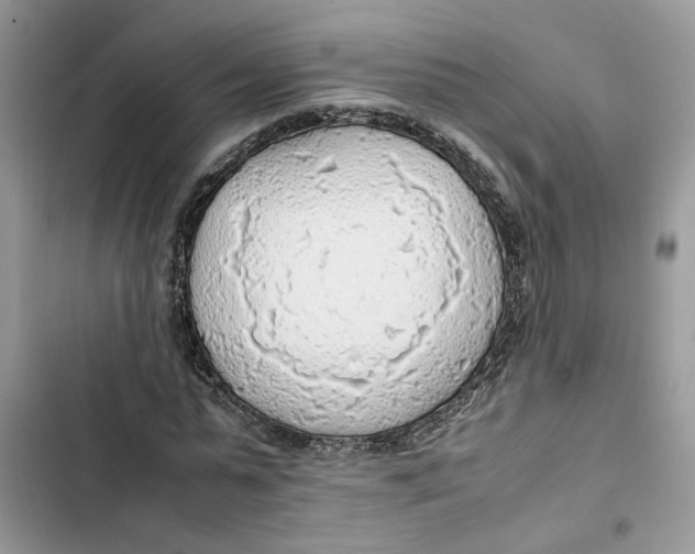 X0000103410775200810031245