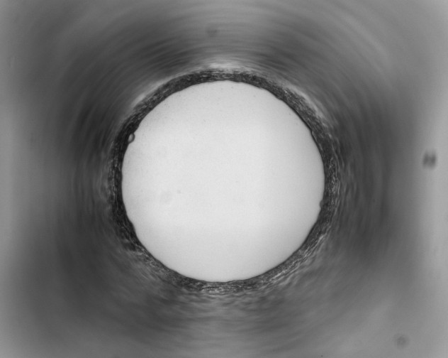 X0000103410776200810031245