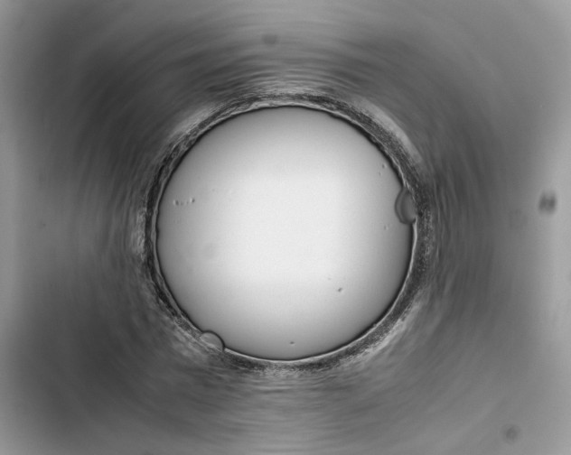 X0000103410777200810031245