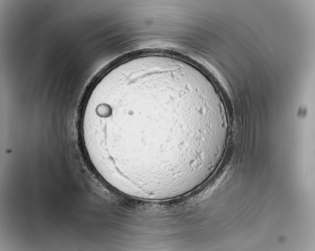 X0000103410783200810031245