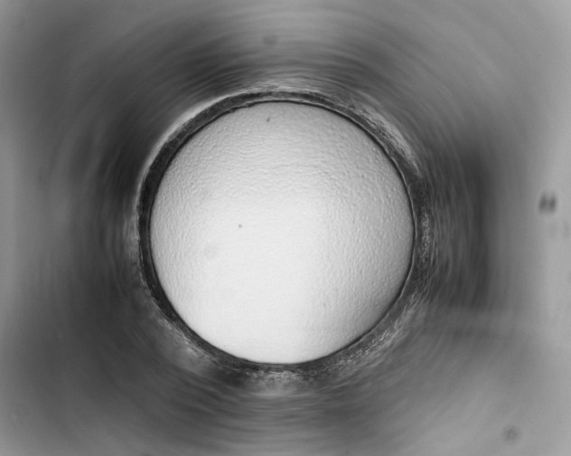 X0000103410784200810031245