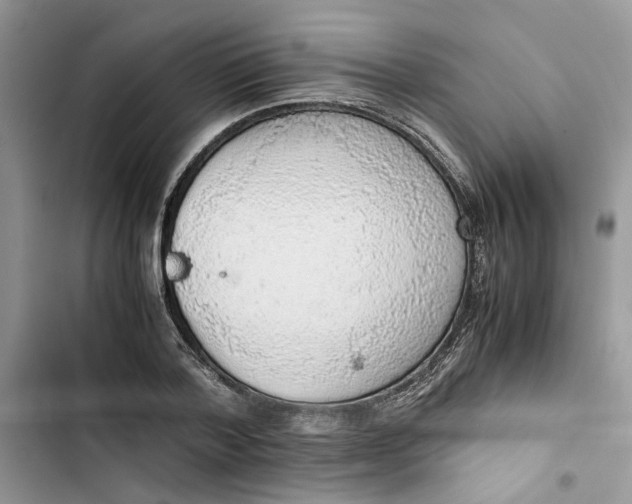 X0000103410788200810031245