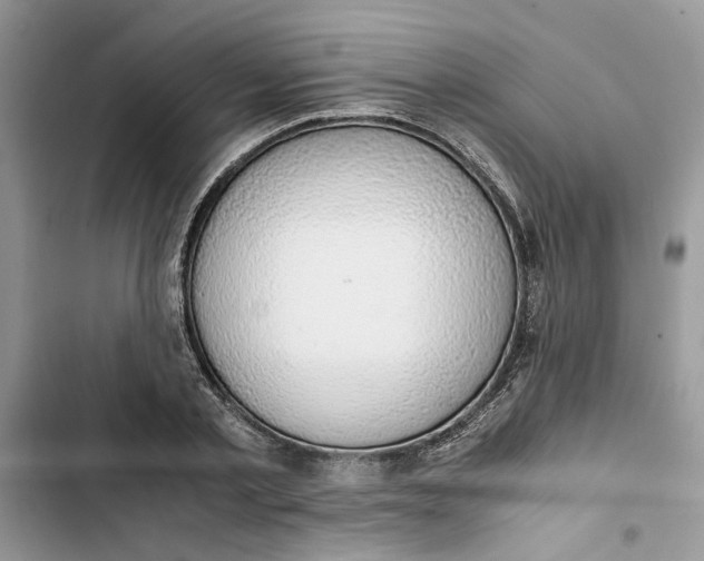 X0000103410789200810031245