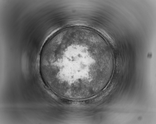 X0000103410790200810031245