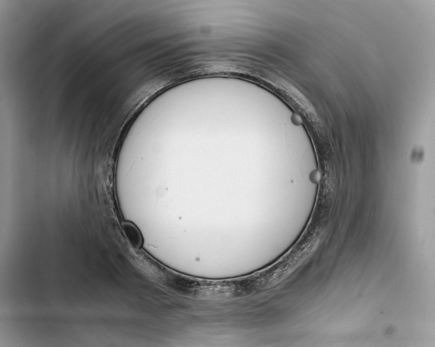 X0000103410793200810031245