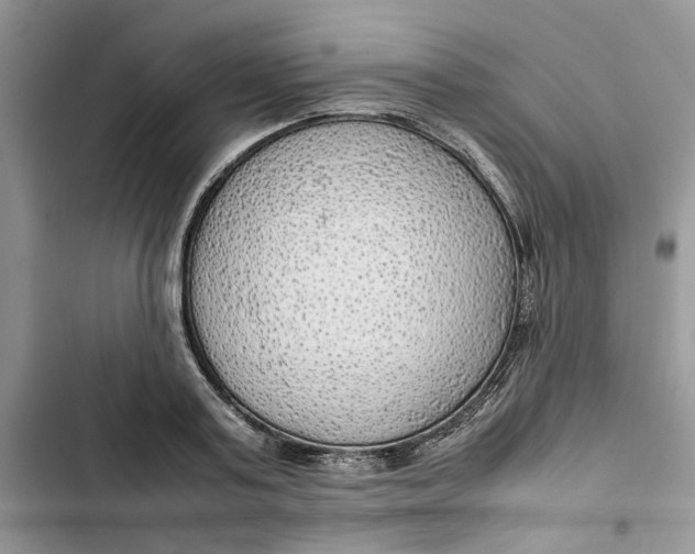 X0000103410795200810031245