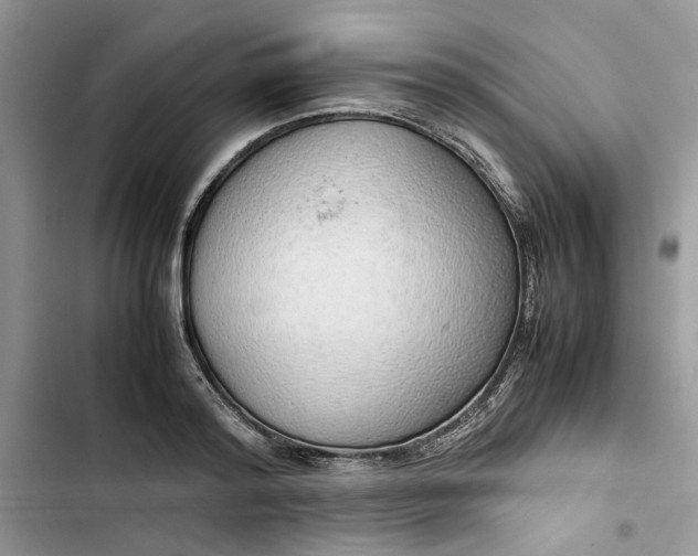 X0000103410796200810031245