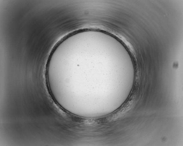 X0000103410799200810031245