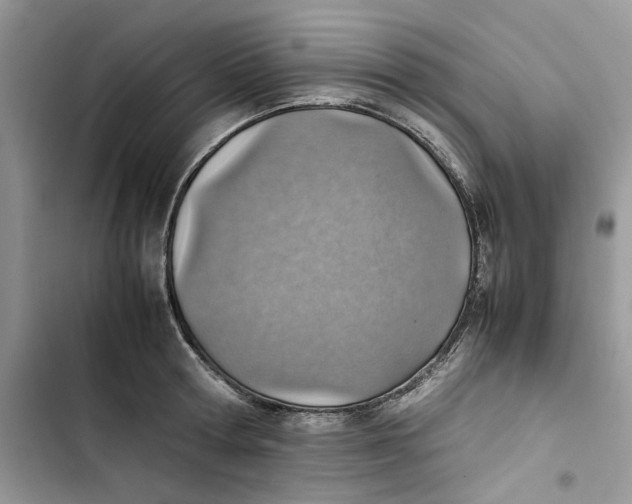 X0000103410802200810031245