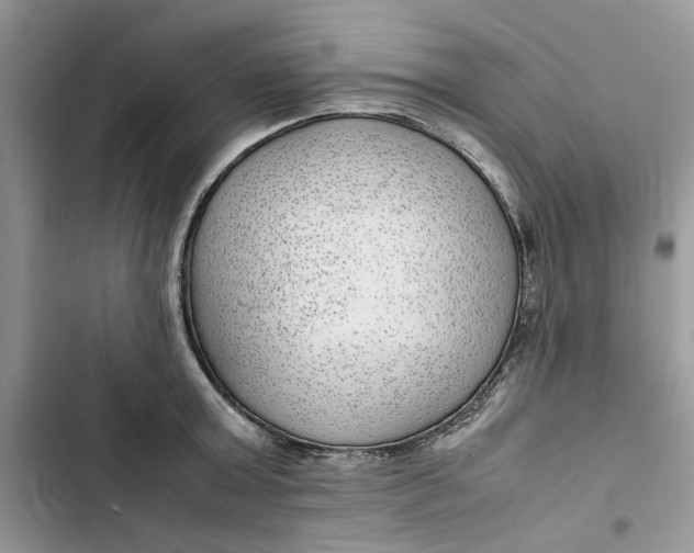 X0000103410803200810031245