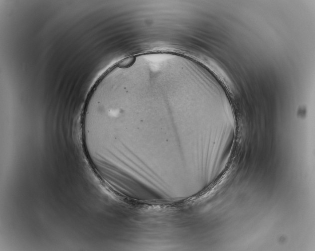 X0000103410806200810031245