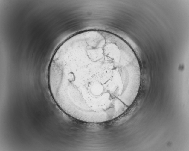 X0000103410807200810031245