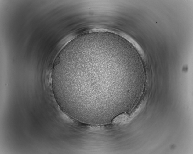 X0000103410809200810031245