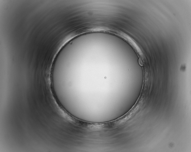 X0000103410810200810031244