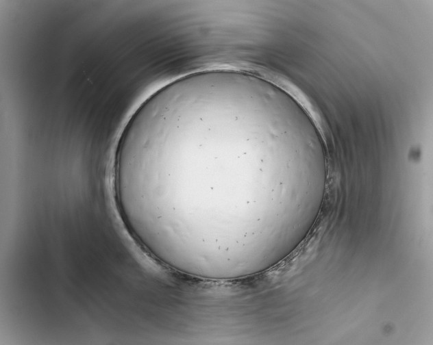 X0000103410811200810031244