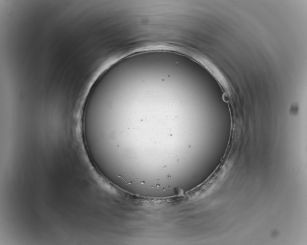 X0000103410813200810031244