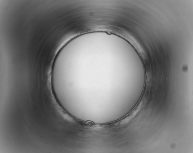 X0000103410814200810031244