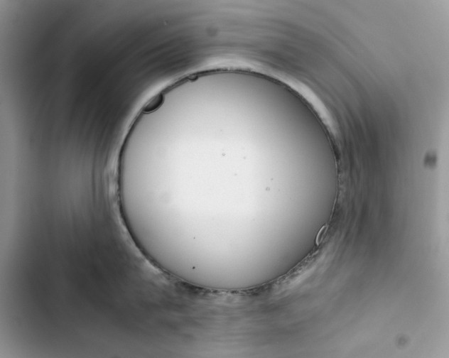 X0000103410815200810031244