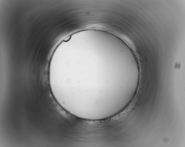 X0000103410816200810031244