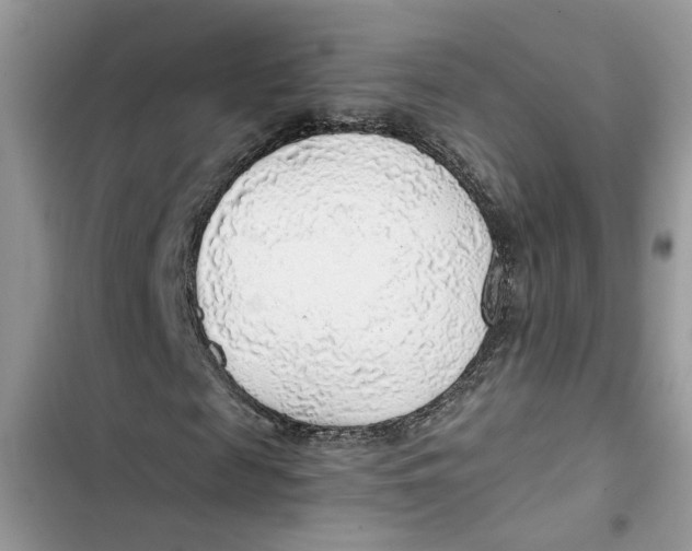 X0000103410817200810031244