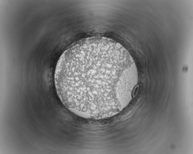 X0000103410818200810031244