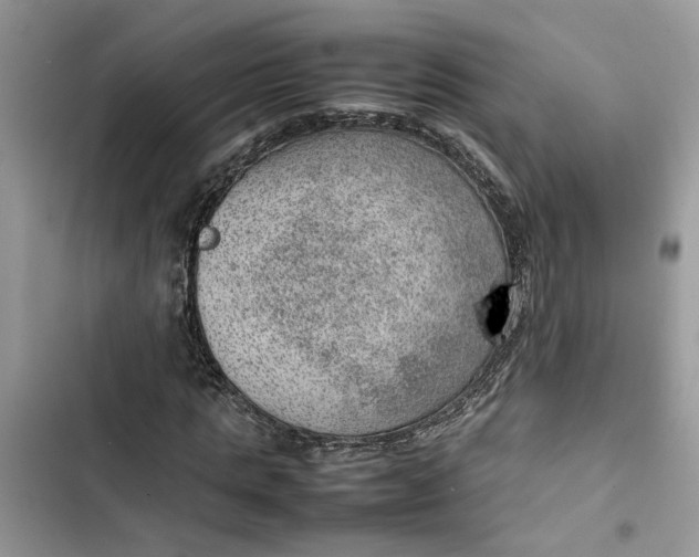 X0000103410821200810031244