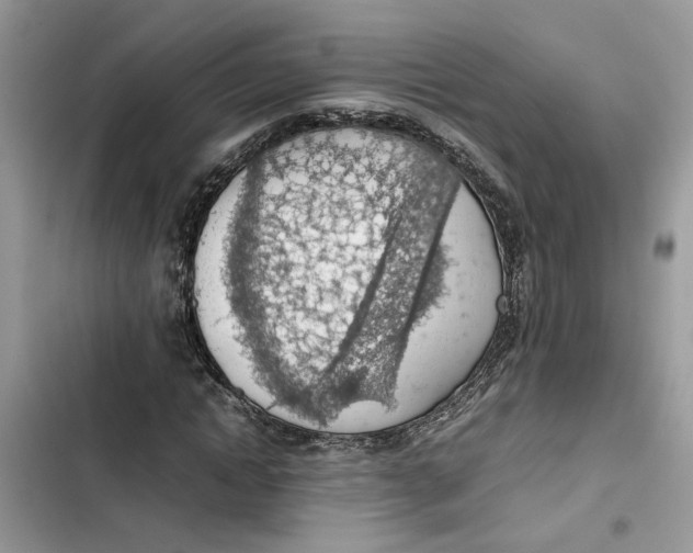 X0000103410822200810031244