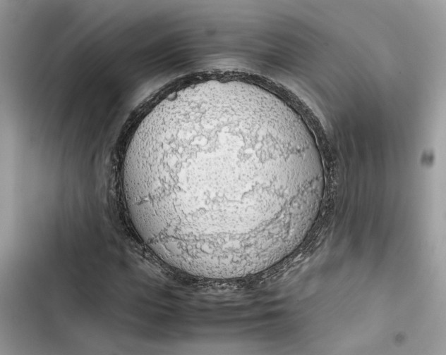 X0000103410823200810031244