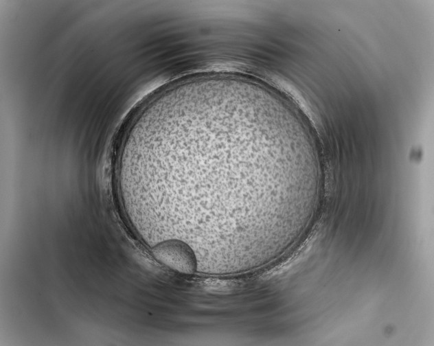 X0000103410827200810031244