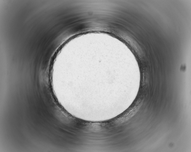 X0000103410828200810031244