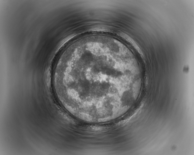 X0000103410829200810031244