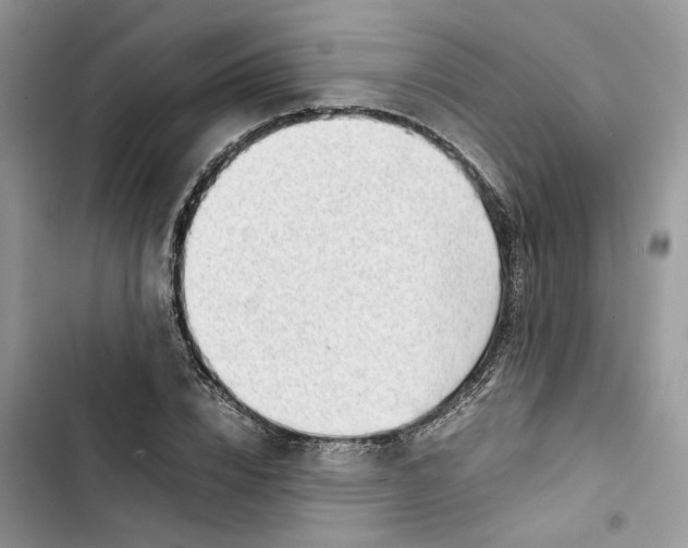 X0000103410832200810031244