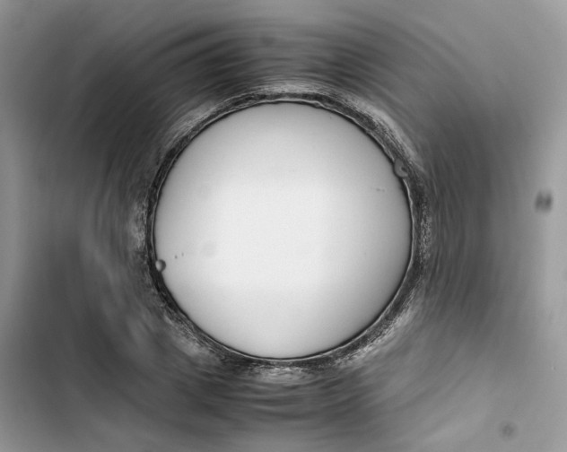 X0000103410833200810031244