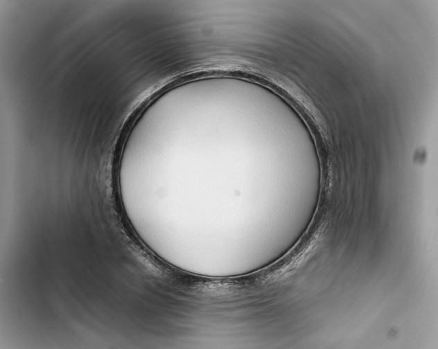 X0000103410834200810031244