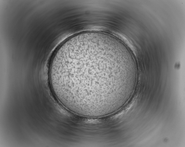 X0000103410835200810031244